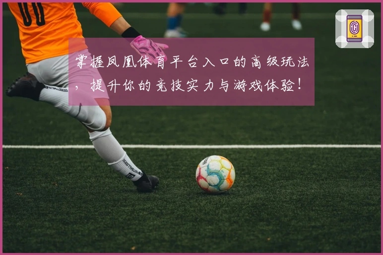 掌握凤凰体育平台入口的高级玩法，提升你的竞技实力与游戏体验！