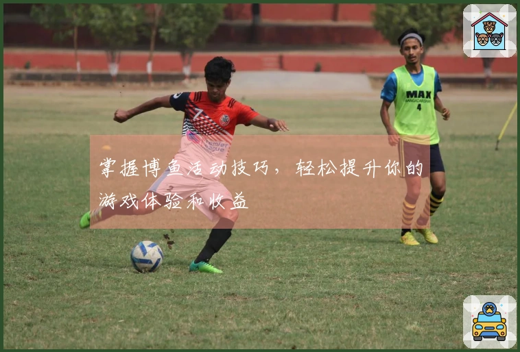 掌握博鱼活动技巧，轻松提升你的游戏体验和收益
