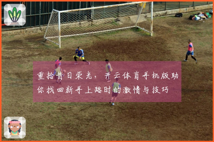 重拾昔日荣光，开云体育手机版助你找回新手上路时的激情与技巧