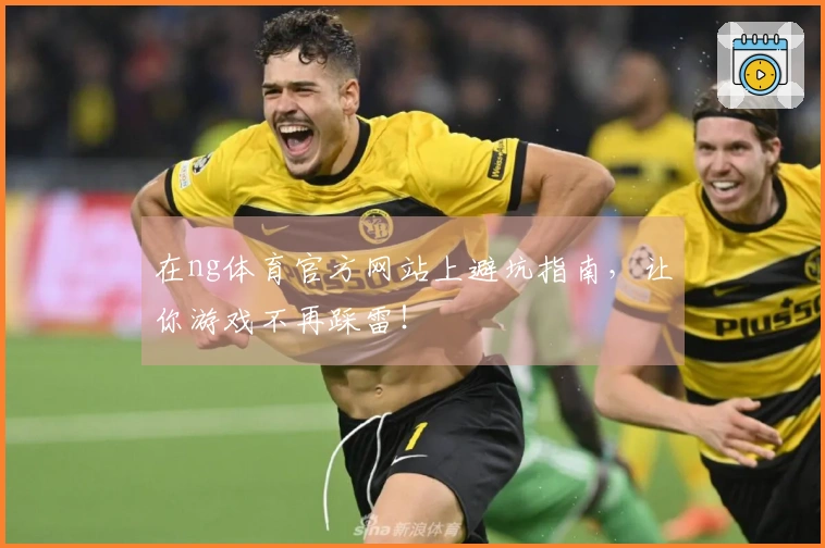 在ng体育官方网站上避坑指南，让你游戏不再踩雷！